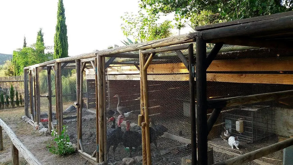 Posada Nina Margarita Priego de Córdoba Gospodarstwo wiejskie