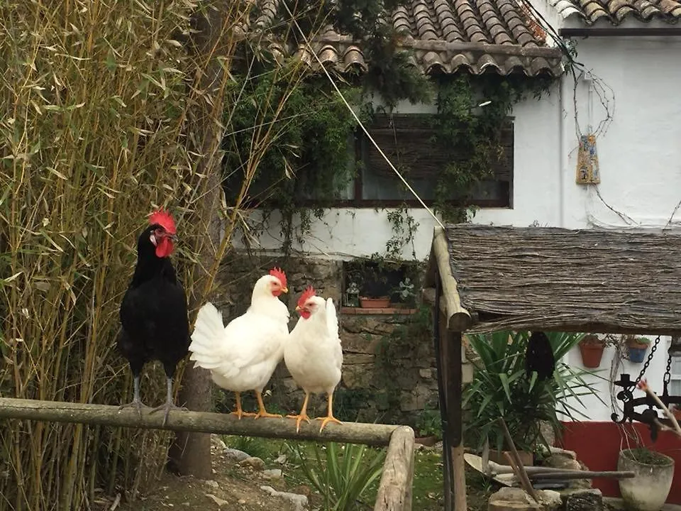 Casa rural Posada Niña Margarita Priego de Córdoba